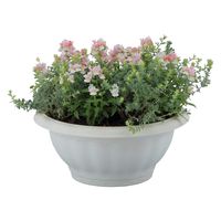 アップルウェアー クイーンボール 30型 ホワイト 4905980112315 1個（直送品）