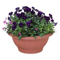 アップルウェアー クイーンボール 30型 ブラウン 4905980112322 1個（直送品）