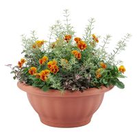 アップルウェアー クイーンボール 35型 ブラウン 4905980112421 1個（直送品）