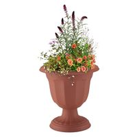 アップルウェアー クイーンカップ Dー28型 ブラウン 4905980112728 1個（直送品）