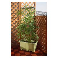 アップルウェアー 楽々菜園 深型 600 支柱用フレーム付 サラダグリーン 4905980310841 1個