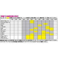 住友化学園芸 ベジフル液肥 800ml 4975292603696 1個（直送品）