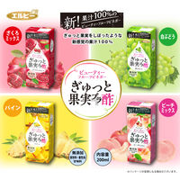 エルビー ぎゅっと果実+酢 ざくろミックス 200ml 1セット（48本）