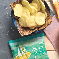 アデリー のし付き「御挨拶」　カルビー　ご挨拶セット OSGS-24SIB-a 1個（直送品）