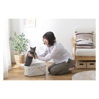 アイリスオーヤマ メッシュペットキャリー アイボリー MPC-450 1個