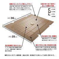 CLEAN HOUSE ピタットチュー 5枚入り 2057565 1セット(5枚)（直送品）