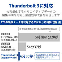 HDD 外付け 10TB 据え置き 5年保証 1big Dock STHS10000800 LaCie 1個（直送品）