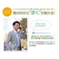 ファイテン(phiten) インソール フラットタイプ メタックス 21.0～25.0cm 男女兼用 TI463003 1足（直送品）