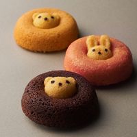 アデリー 【２０個セット】ちいさな森のドーナツ　くまプレーン TMD-KP-20（直送品）