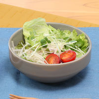 スタッキングボウル　Φ１５０ｍｍ　アリビオ　ＬＧＹ 77484 1箱（6個入り） 不二貿易（直送品）