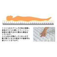 【軒先渡し】友澤木工 圧縮ロールポケット マットレス 幅1000×奥行1950×高さ170mm マットレス：ホワイト 1本（直送品）