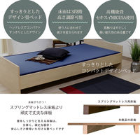 【軒先渡し】友澤木工 MIGUSA ヘッドレス カラー畳ベッド 幅1010×奥行1990×高さ450mm ナチュラル×ブラック 1台（直送品）