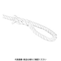 藤原産業 SK11 トラックロープ ポリエステル SKRーP910 1セット(2個)（直送品）