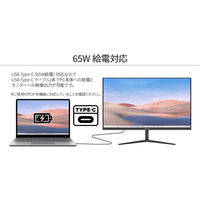 ジャパンネクスト 27インチ ワイド液晶ディスプレイ JN-IPS27WQHDR-C65W 1個（直送品）