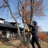 エスコ DC18V チェーンソー(伸縮ポール/充電式) EA898CA-21A 1台（直送品）