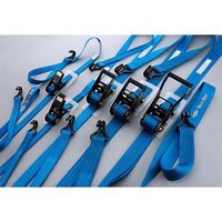 エスコ 50mmx 6.0m/1010kg ベルト荷締機(両端フック型) EA982RJ-6 1本(1個)（直送品）