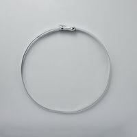 エスコ 260mm センサーライト用ステンレスバンド EA864CB-501 1セット(10袋)（直送品）