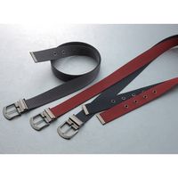 エスコ 38mm 作業用ベルト(赤) EA924C-8 1セット(4個:1個×4本)（直送品）