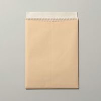 エスコ 240x332mm クッション封筒(郵便枠あり/10枚) EA762GF-24 1セット(30枚:10枚×3袋)（直送品）