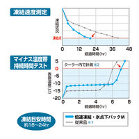 倍速凍結・氷点下パック コンパクト（2pcs） 81660639 1セット LOGOS/ロゴス