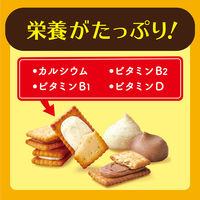 大容量 個包装 ビスコ 発酵バター仕立て 大袋アソートパック バニラ&カフェオレ 2枚×16個包装 1セット(1袋×12)