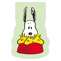 日本ホールマーク 2023年 手帳 ダイアリー B6 ガントスヌーピー 兄弟とお買物 805128 1冊（直送品）