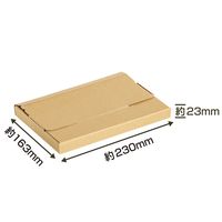 ナカバヤシ 段ボールボックスS200枚入り NDBX-S-200P 1個（直送品）