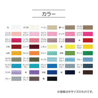 清原 カラーひも 中 黒 SUN55-60 1セット(30袋)