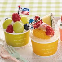 ヘッズ ボヌールカップ-1/イエロー BNR-CUY1 1パック(100個入)