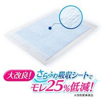 デオシート ワイド ジャンボパック 54枚入 1袋 ユニ・チャーム（わけあり品）