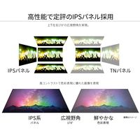 JAPANNEXT 23.8インチ液晶モニター USB Type-C接続対応 JN-IPS238F-C65W 1台 オリジナル