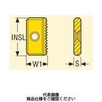 セコ・ツールズ・ジャパン フライス ねじ切り用チップ 13NMS1.0ISOCP500 1セット(2個)（直送品）