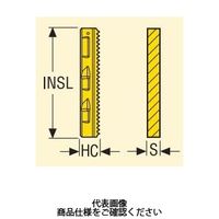 フライス ねじ切り用チップ 396.19ー4003.0N16UN:F30M 396.19-4003.0N16UNF30M 1セット(2個)（直送品）