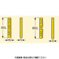 フライス ねじ切り用チップ 396.19ー4005.0N7UN:F30M 396.19-4005.0N7UNF30M 1セット(2個)（直送品）