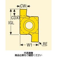 セコ・ツールズ・ジャパン 溝入れ用チップ 10NR2.15FG:CP30 10NR2.15FGCP30 1セット(2個)（直送品）