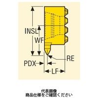 セコ・ツールズ・ジャパン 溝入れ用チップ LCEX0804ーA60L:CP500 LCEX0804-A60LCP500 1セット(2個)（直送品）