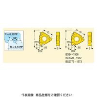 セコ・ツールズ・ジャパン 旋削 ねじ切り用チップ 16NR14WH15 1セット(2個)（直送品）