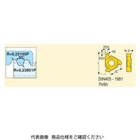 セコ・ツールズ・ジャパン 旋削 ねじ切り用チップ 22EL6RDCP500 1セット(2個)（直送品）