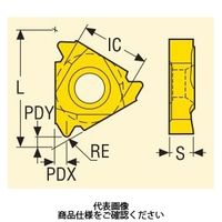 セコ・ツールズ・ジャパン 旋削 ねじ切り用チップ 27NR4PACCP500 1セット(2個)（直送品）