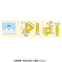 セコ・ツールズ・ジャパン 旋削 ねじ切り用チップ 11NLA60:CP500 11NLA60CP500 1セット(2個)（直送品）