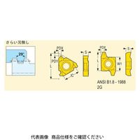 セコ・ツールズ・ジャパン 旋削 ねじ切り用チップ 16ER12STACME:CP500 16ER12STACMECP500 1セット(2個)（直送品）