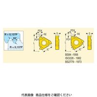 セコ・ツールズ・ジャパン 旋削 ねじ切り用チップ 16ER19WーA2:CP500 16ER19W-A2CP500 1セット(2個)（直送品）