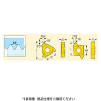 セコ・ツールズ・ジャパン 旋削 ねじ切り用チップ 16ERAG55:CP500 16ERAG55CP500 1セット(2個)（直送品）