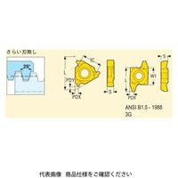 セコ・ツールズ・ジャパン 旋削 ねじ切り用チップ 16NR10ACME:CP500 16NR10ACMECP500 1セット(2個)（直送品）