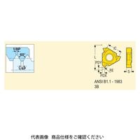 セコ・ツールズ・ジャパン 旋削 ねじ切り用チップ 16NR12UN:CP500 16NR12UNCP500 1セット(2個)（直送品）