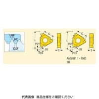 セコ・ツールズ・ジャパン 旋削 ねじ切り用チップ 16NR8UNーA1:CP500 16NR8UN-A1CP500 1セット(2個)（直送品）