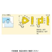 セコ・ツールズ・ジャパン 旋削 ねじ切り用チップ 20NR8.0TR:CP500 20NR8.0TRCP500 1セット(2個)（直送品）