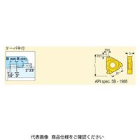 セコ・ツールズ・ジャパン 旋削 ねじ切り用チップ 22ER5BUT2.6:CP500 22ER5BUT2.6CP500 1セット(2個)（直送品）