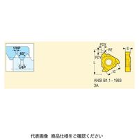 セコ・ツールズ・ジャパン 旋削 ねじ切り用チップ 22ER7UN:CP500 22ER7UNCP500 1セット(2個)（直送品）