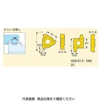 セコ・ツールズ・ジャパン 旋削 ねじ切り用チップ 22NR6STACME:CP500 22NR6STACMECP500 1セット(2個)（直送品）